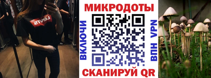 Галлюциногенные грибы Magic Shrooms  Петухово 
